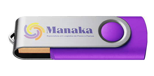 Logo aplicada no PenDrive